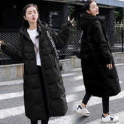 Study, stroll, or socialize—style that keeps up.