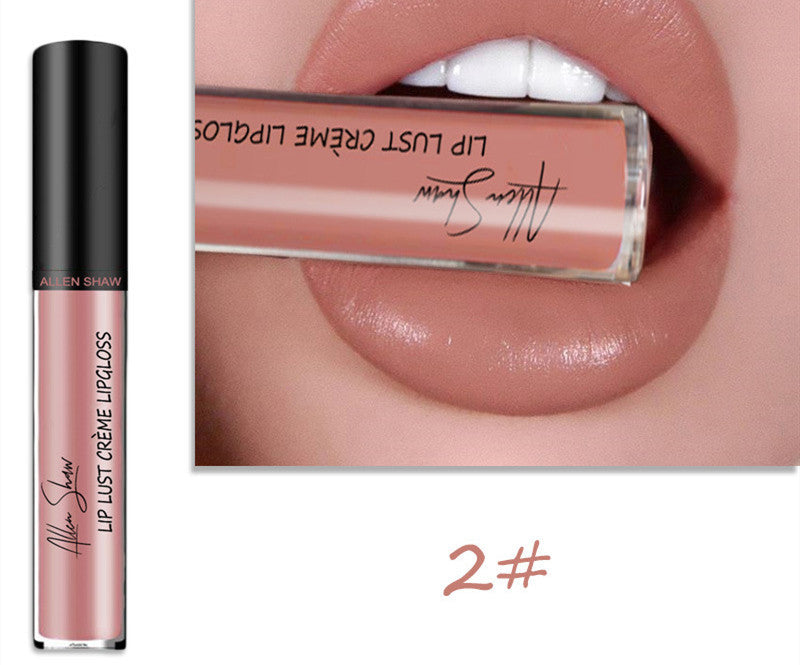 Hydrating lip gloss with long-lasting shine