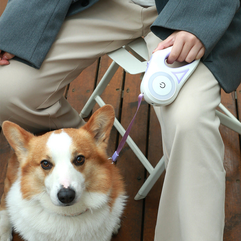 Small Medium Pet Leash Retractable And Collar Spotlight Automatic Traction Rope